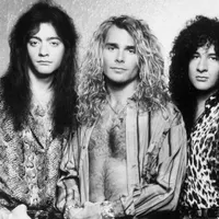 White Lion
