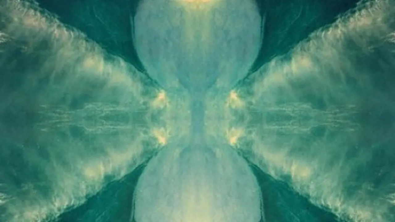 Bonobo