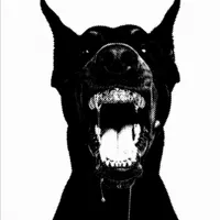Dogzout