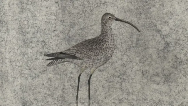 Shibunkaku  Nihonga : Nouvelles propositions pour le XXIe siècle