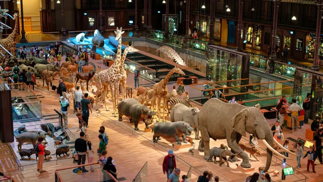 Voyage extraordinaire à la Galerie de l’Évolution