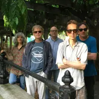 The Feelies