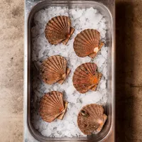Iodé Sushi