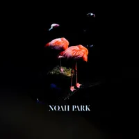 Noah Park