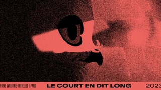Cinéma & Art vidéo : 31e Festival Le Court en dit long