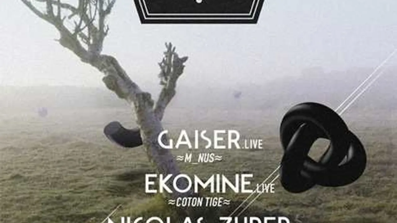 COTON TIGE : GAISER Live
