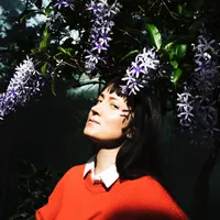 Taken By Trees