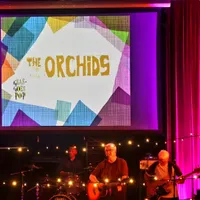 The Orchids