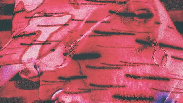 Sylvere "EP3" Release Party: Ehua, Low Jack & Le Diouck Live