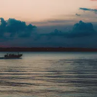 fallen shores 