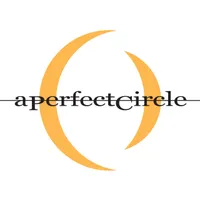 A Perfect Circle