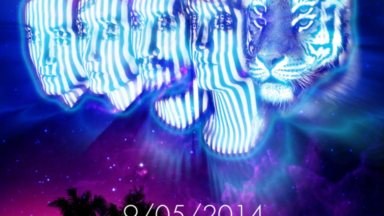 Concert Les Tigres du Futur & Calypso