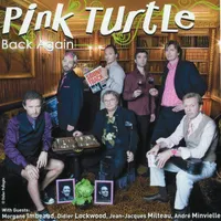 Pink Turtle