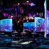 Under the sea