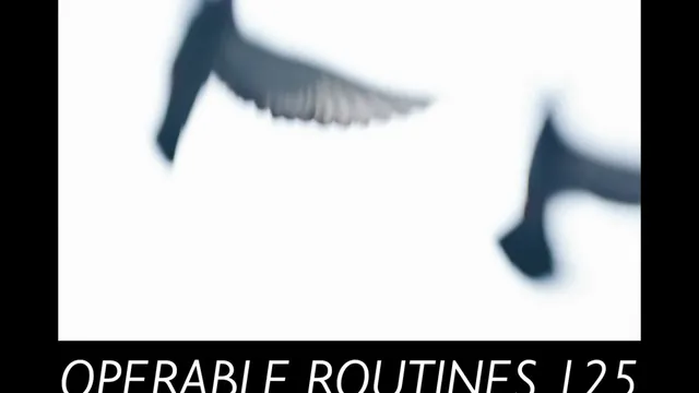 Expo « Operable Routines 125 »