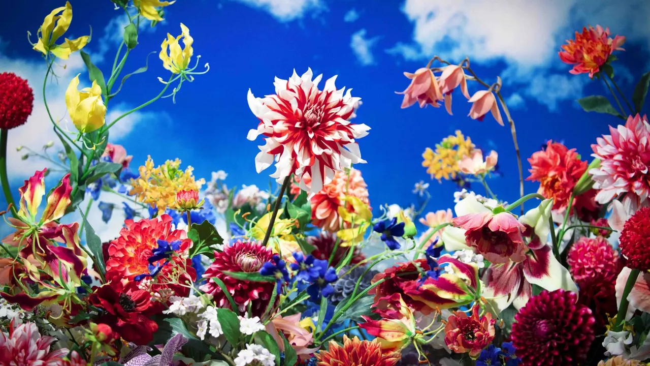 Mika Ninagawa with EiM · Alive with Shadows