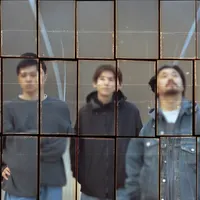 D.A.N.