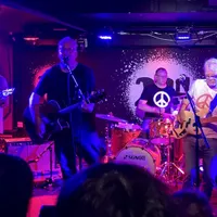 The Orchids