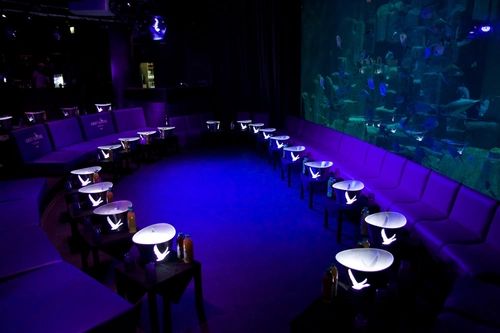 L'Aquarium Club Club Paris