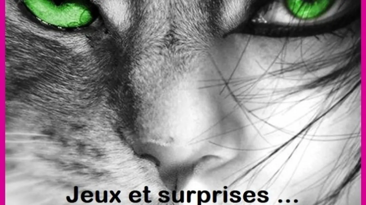 Afterwork Cat's eyes is back !