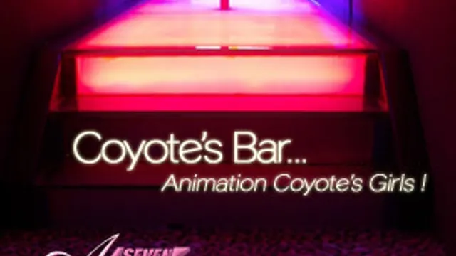 After 7 - Coyote's Bar