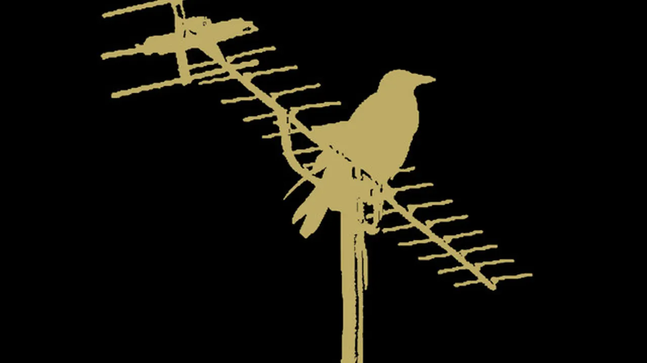 Toy + BirdPen
