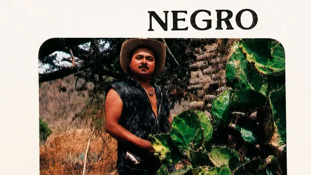 EL GATO NEGRO + 1ERE PARTIE