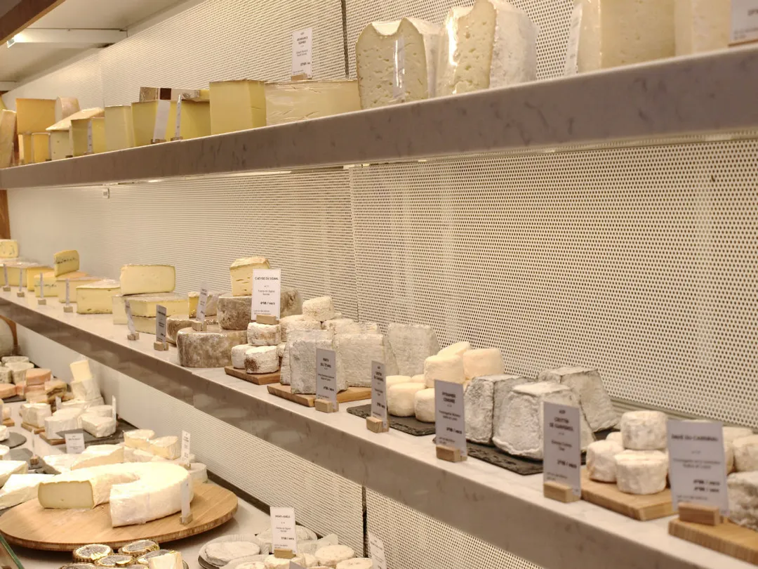 Taka & Vermo Shop Paris