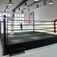 Sweat Boxing