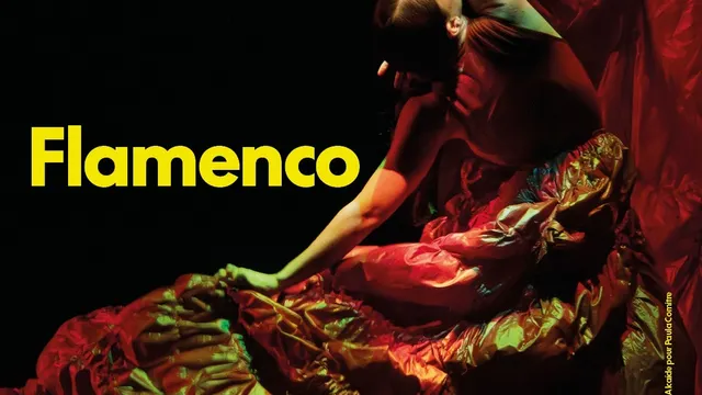 Chaillot Expérience Flamenco