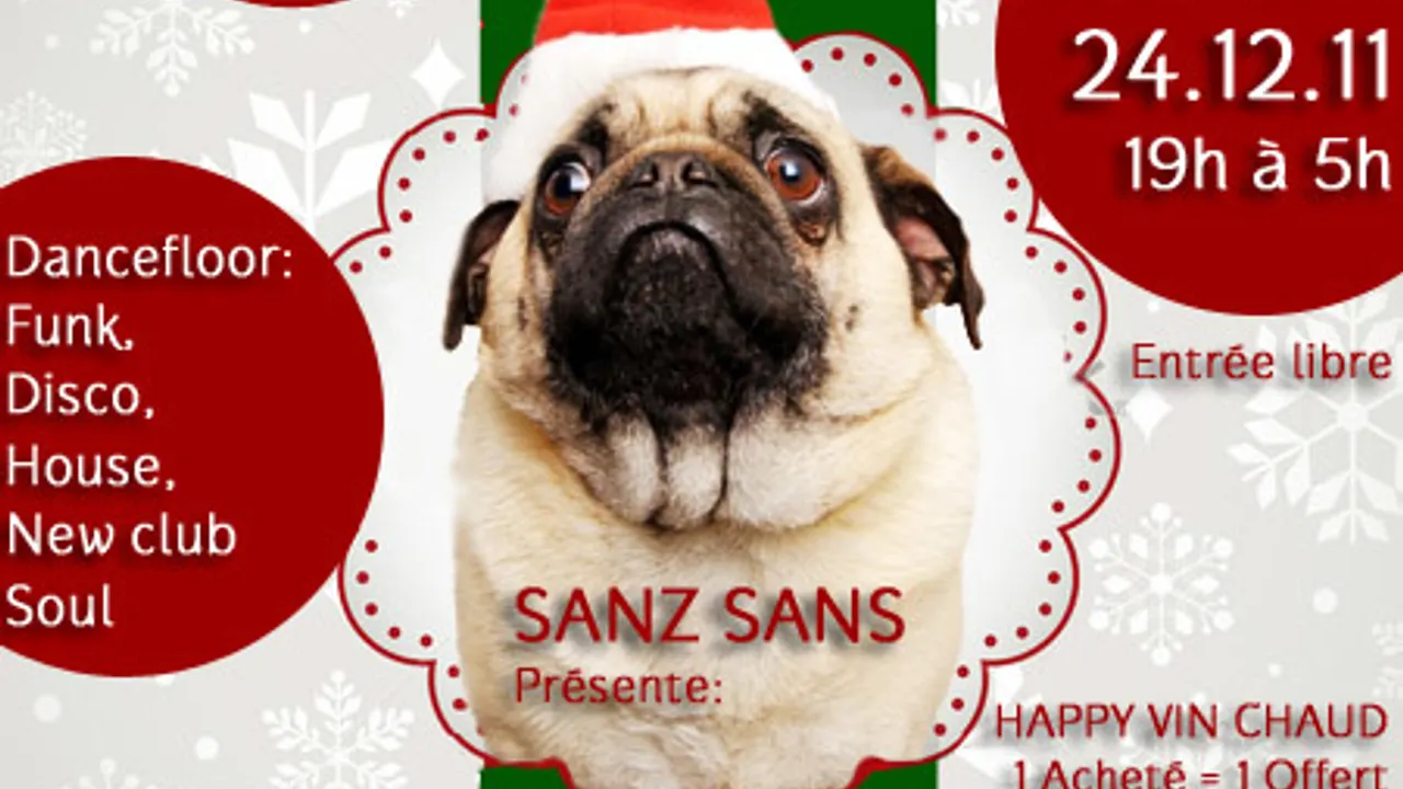 Mon chien s'appelle Noel !