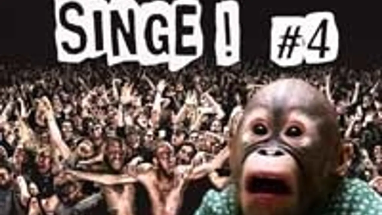 Casse Ton Singe