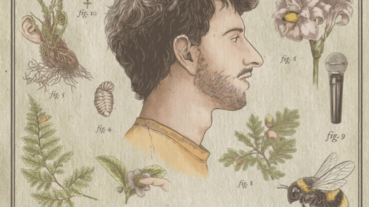 Rémi Boyes dans « Bombus Terrestris »
