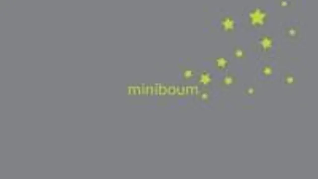 Miniboum
