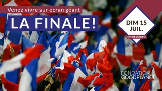Foot, Brunch Et Concert En Plein Air