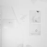 Le White