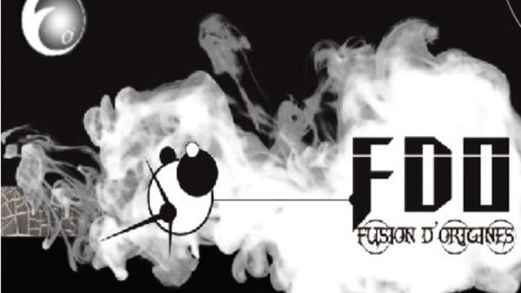 FDO en concert au Boer 2