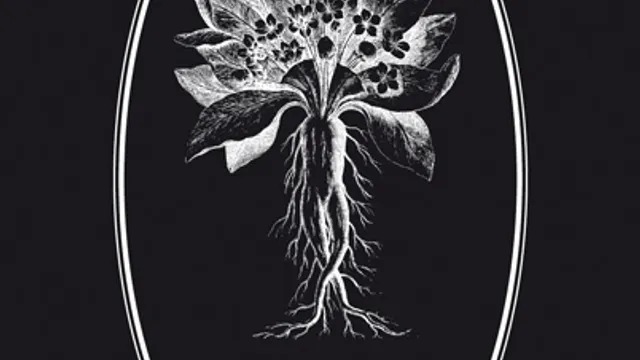 Deadly Nightshade