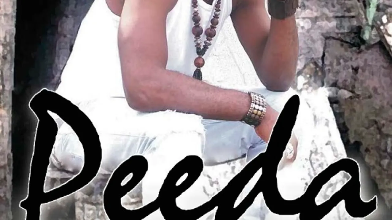 PEEDA en concert