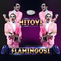 Flamingosi