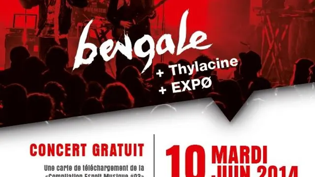 Tournée Esprit Musique 2014 - Bengale en concert