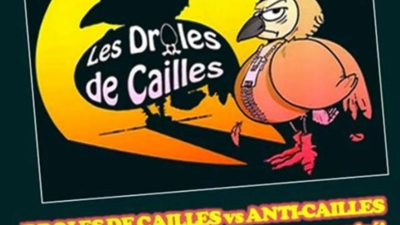 Match d'Impro - Les Drôles de Cailles - 26 Janvier 2016