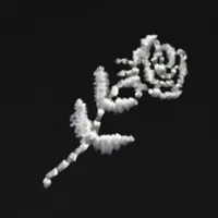 Shlohmo