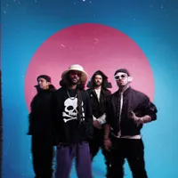 Dropout Kings