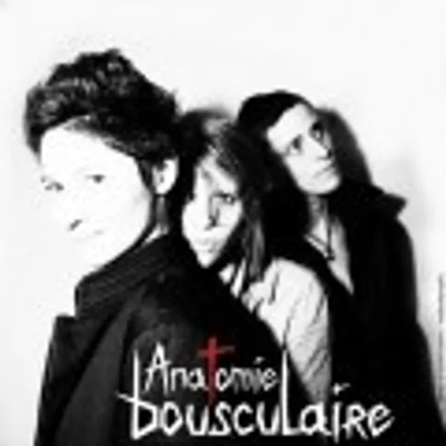 Anatomie B