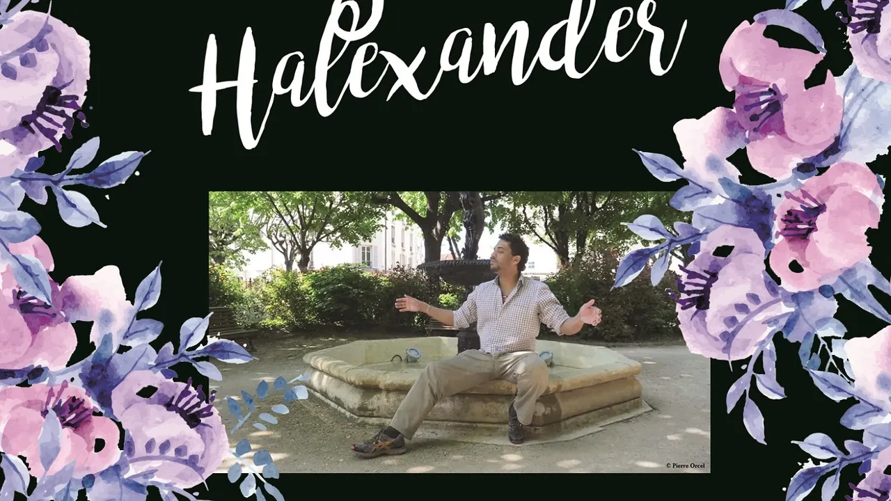 Jann Halexander en concert 'A vous dirais-je' au Gouvernail