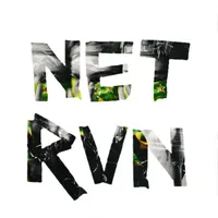 .NET RUN