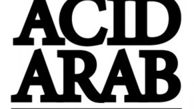 Acid Arab and very specialguest: Baris K