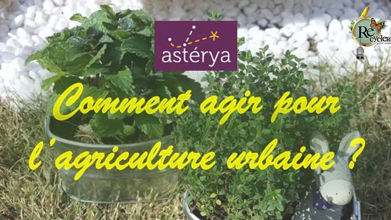 Café Envie d'agir : Comment agir pour l'agriculture urbaine ?