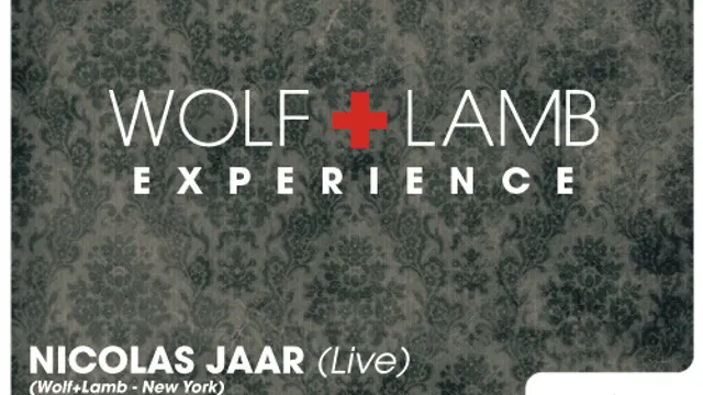 WOLF+LAMB EXPERIENCE